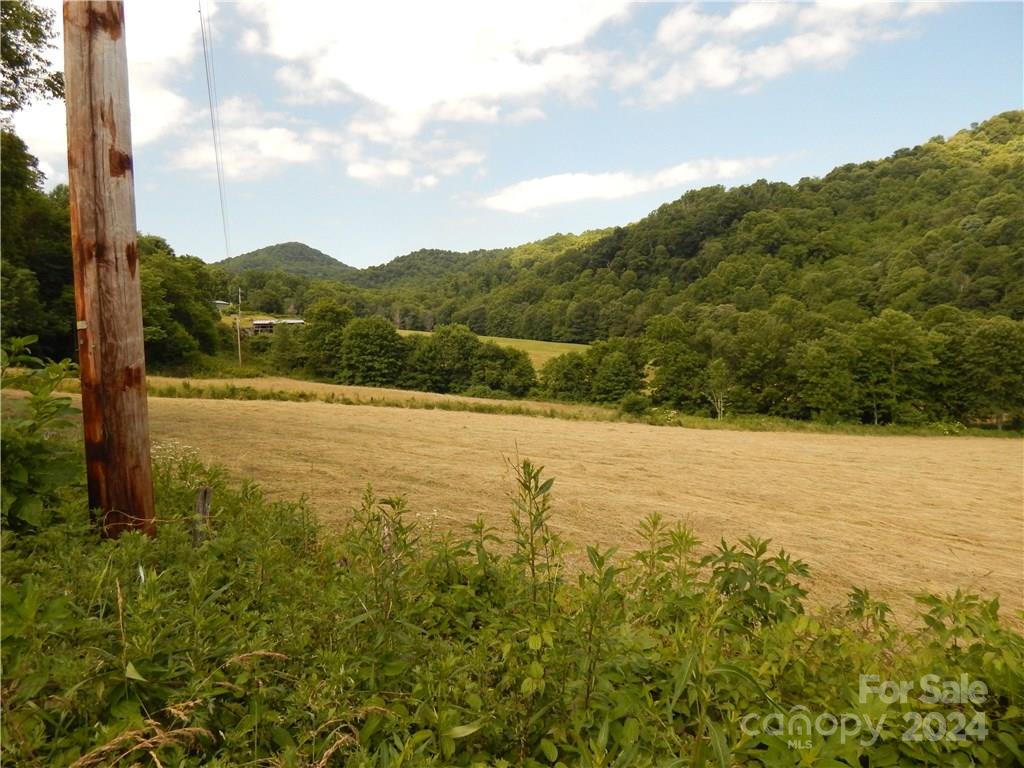 0 Nc 209 Highway Property Photo 3