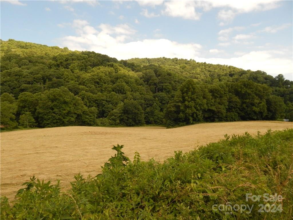 0 Nc 209 Highway Property Photo 6