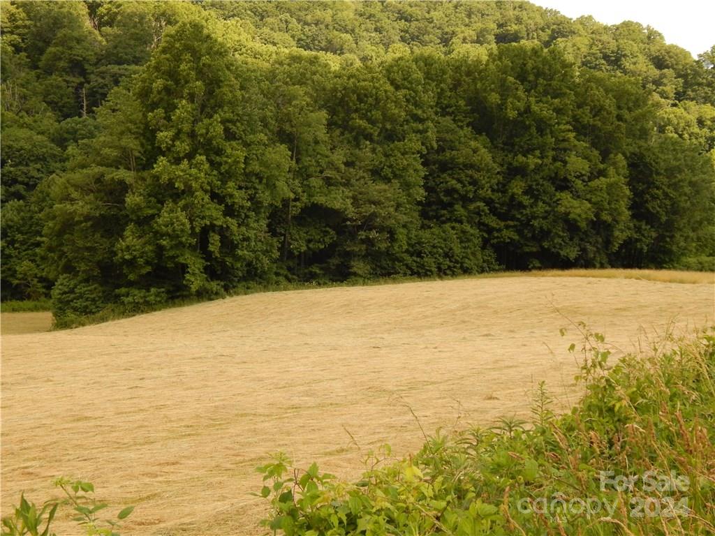 0 Nc 209 Highway Property Photo 7