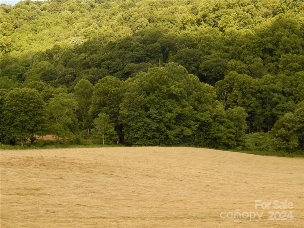 0 Nc 209 Highway Property Photo 8