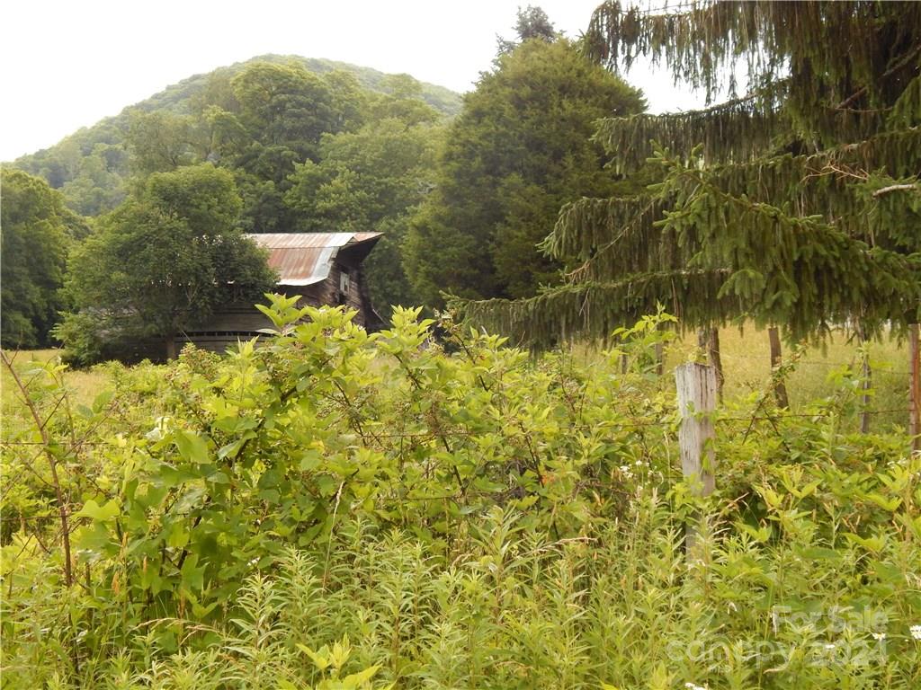 0 Nc 209 Highway Property Photo 9