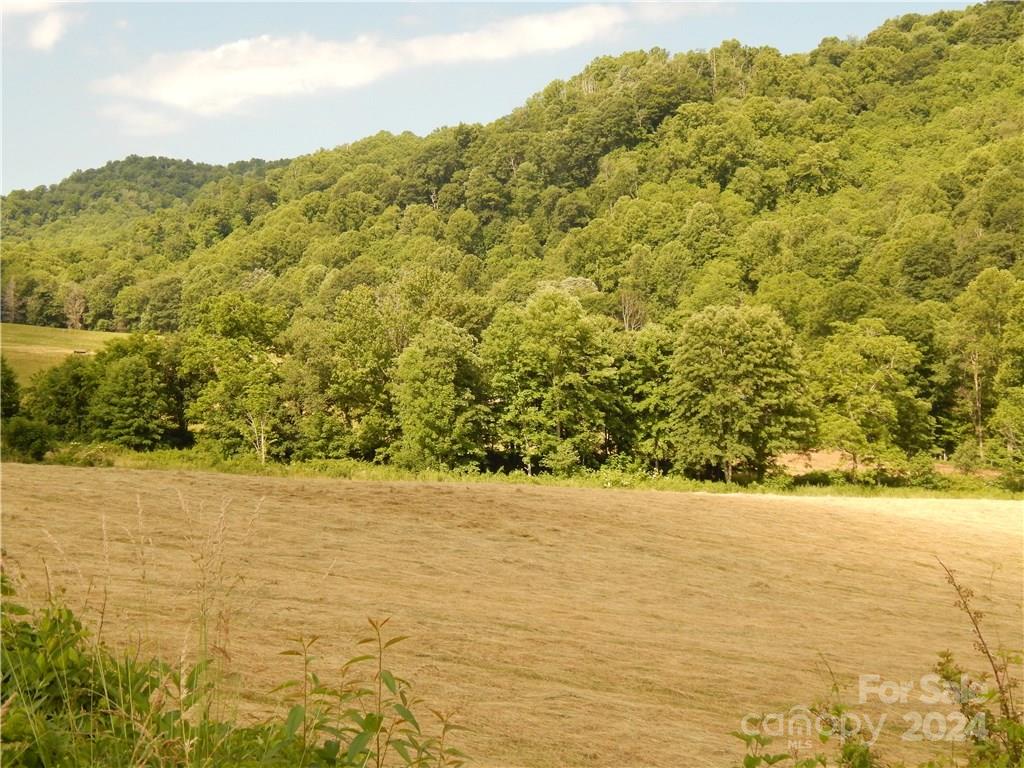0 Nc 209 Highway Property Photo 10