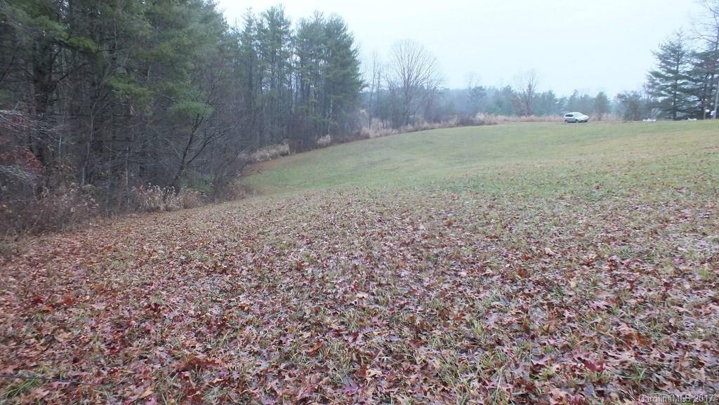 5.25 Acres Bull Creek Road Property Photo 6