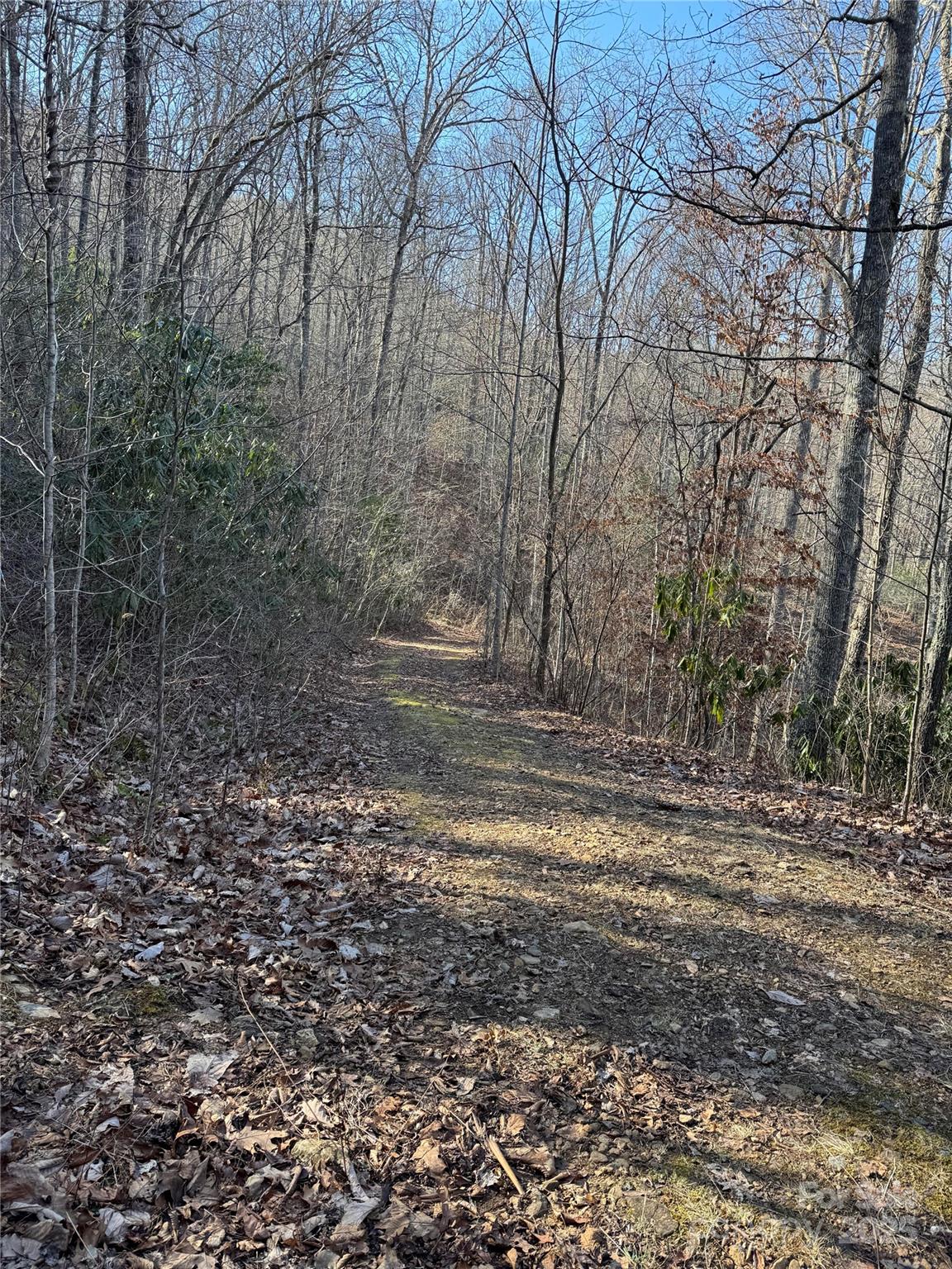 Lot #41 S Country Club Drive 41