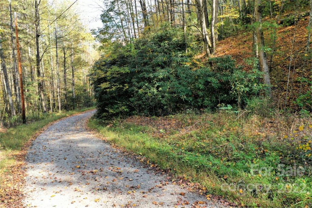 Vl40 Mountain Forest Estates None 40 Property Photo 1