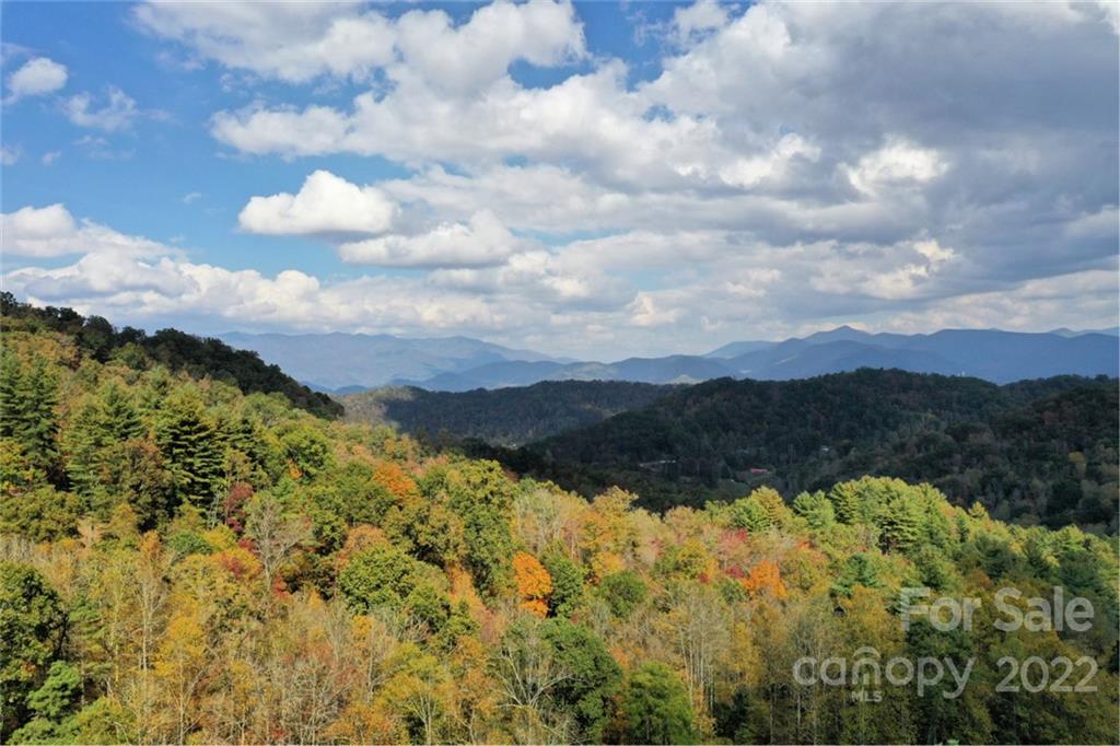 Vl40 Mountain Forest Estates None 40 Property Photo 2