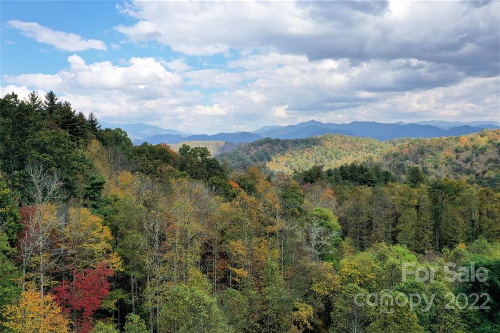 Vl40 Mountain Forest Estates None 40 Property Photo 6