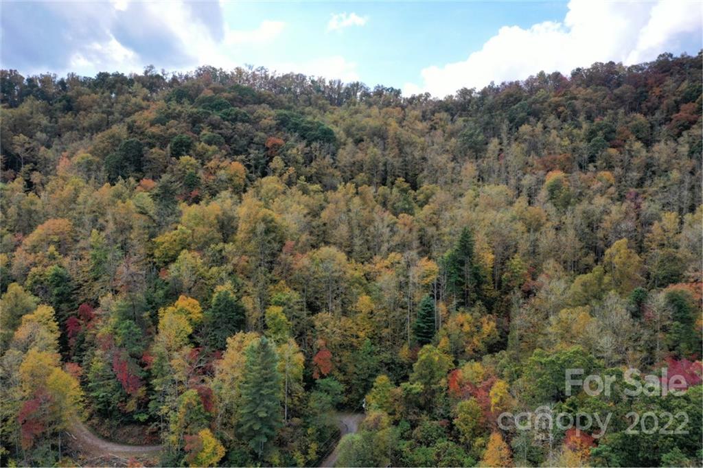 Vl40 Mountain Forest Estates None 40 Property Photo 7