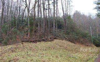 Vl40 Mountain Forest Estates None 40 Property Photo 10