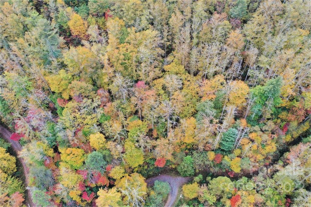 VL74 Mountain Forest Estates None Property Photo 1