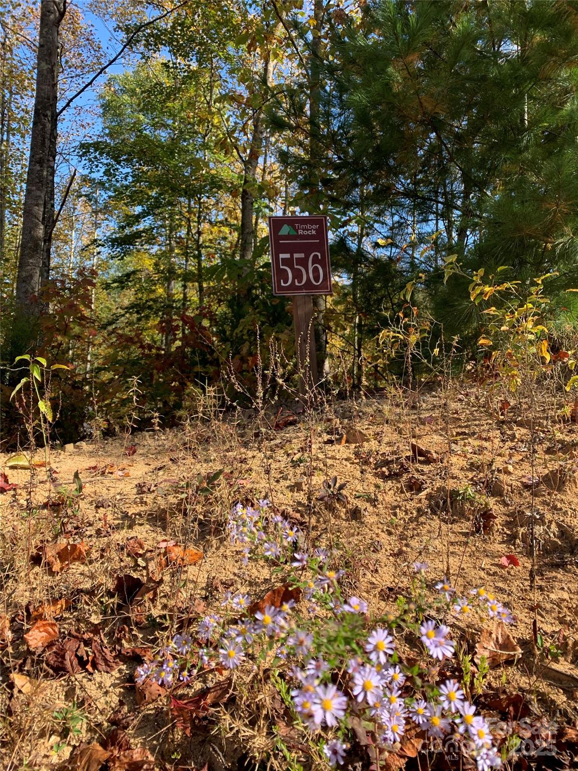 Lot# 556 Timber Rock Drive 556 Property Photo 10