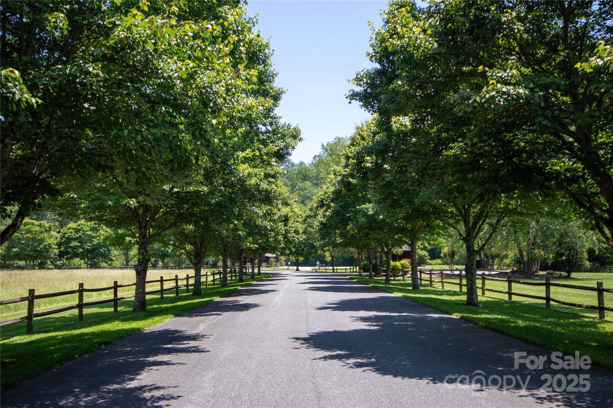 Lot# 556 Timber Rock Drive 556 Property Photo 14