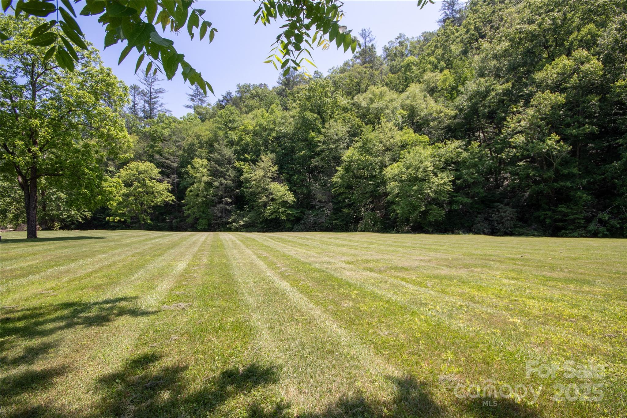 Lot# 556 Timber Rock Drive 556 Property Photo 24