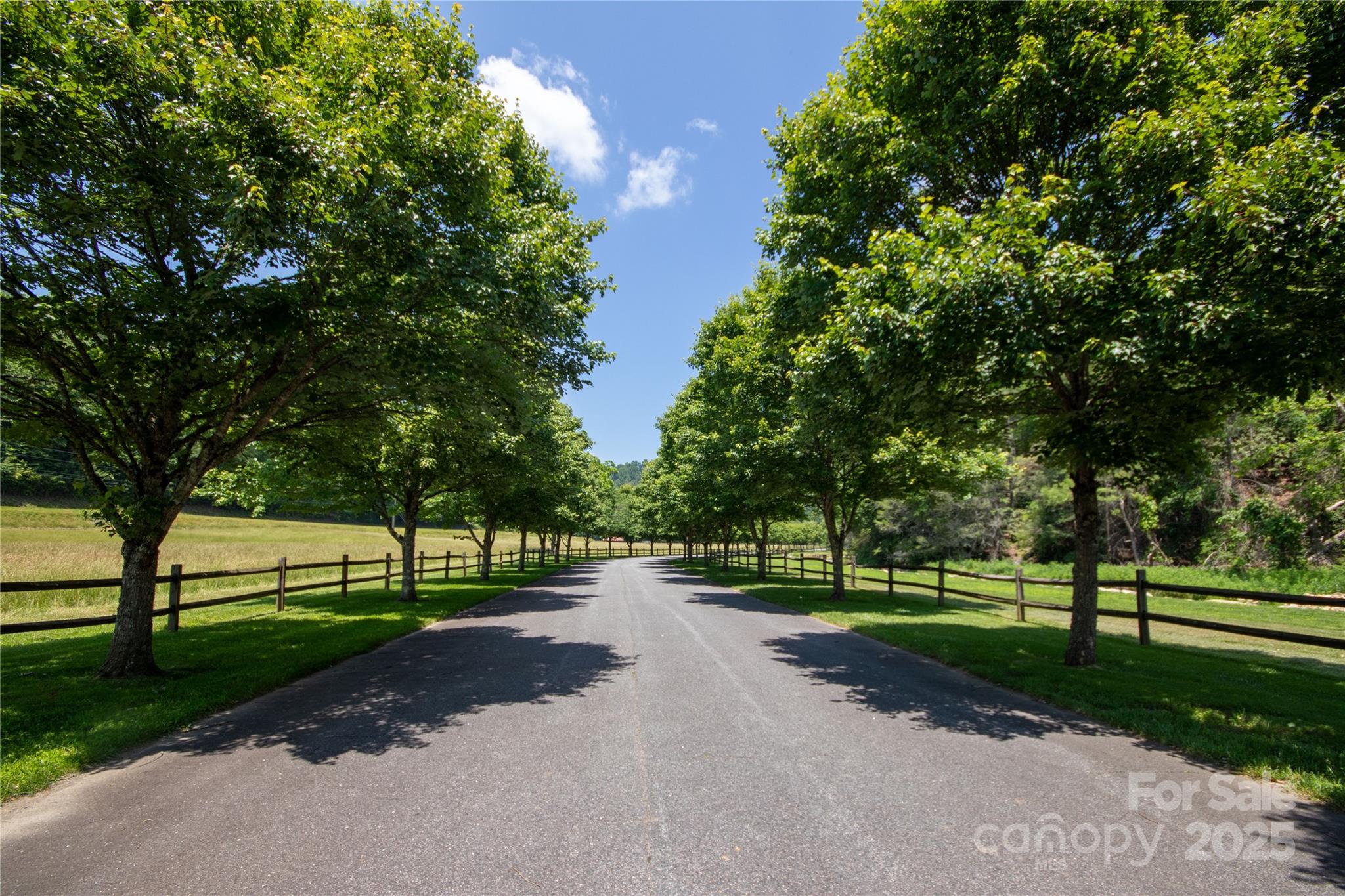 Lot# 556 Timber Rock Drive 556 Property Photo 26