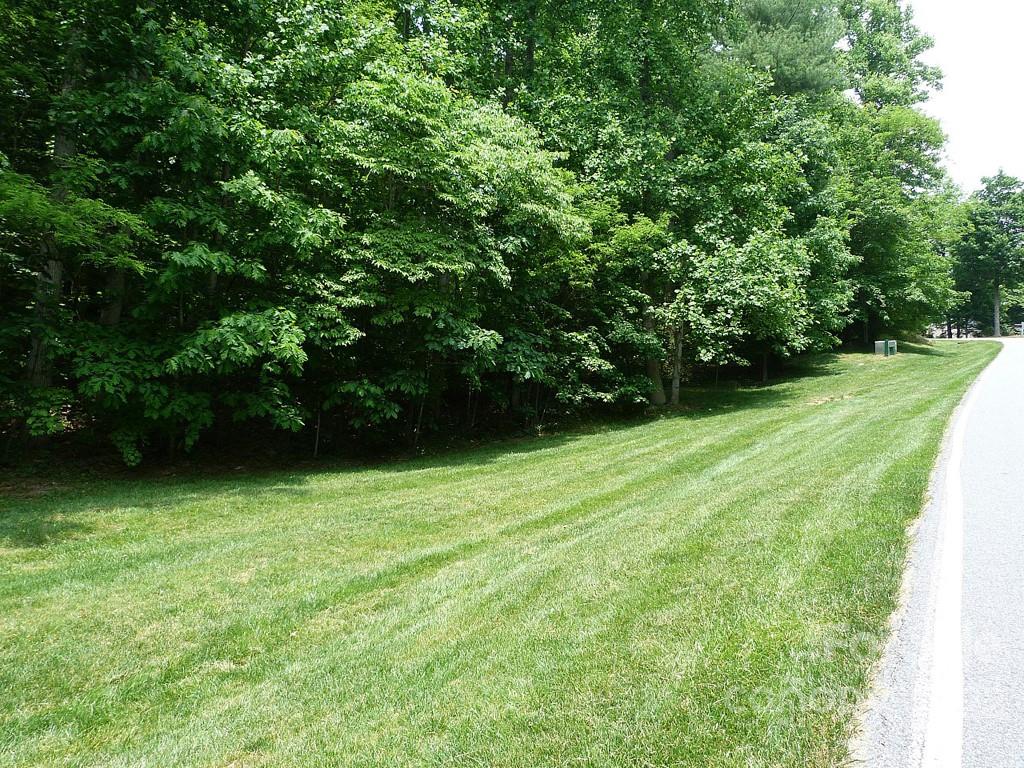201 BENT PINE Trace 180
