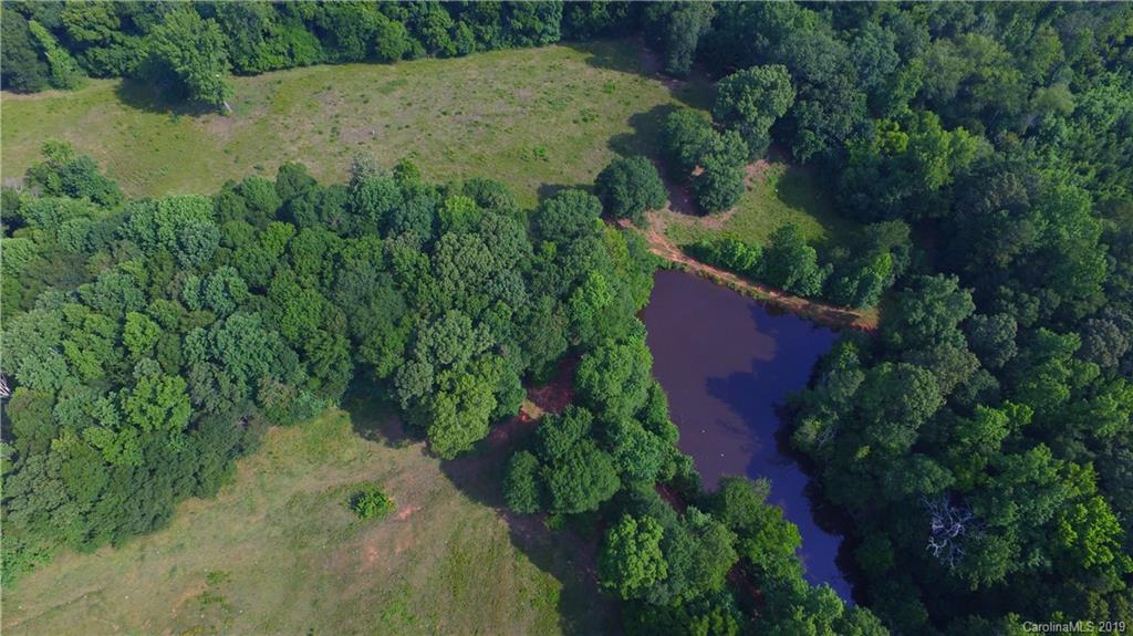 10822 Pettus Farm Road Property Photo 45