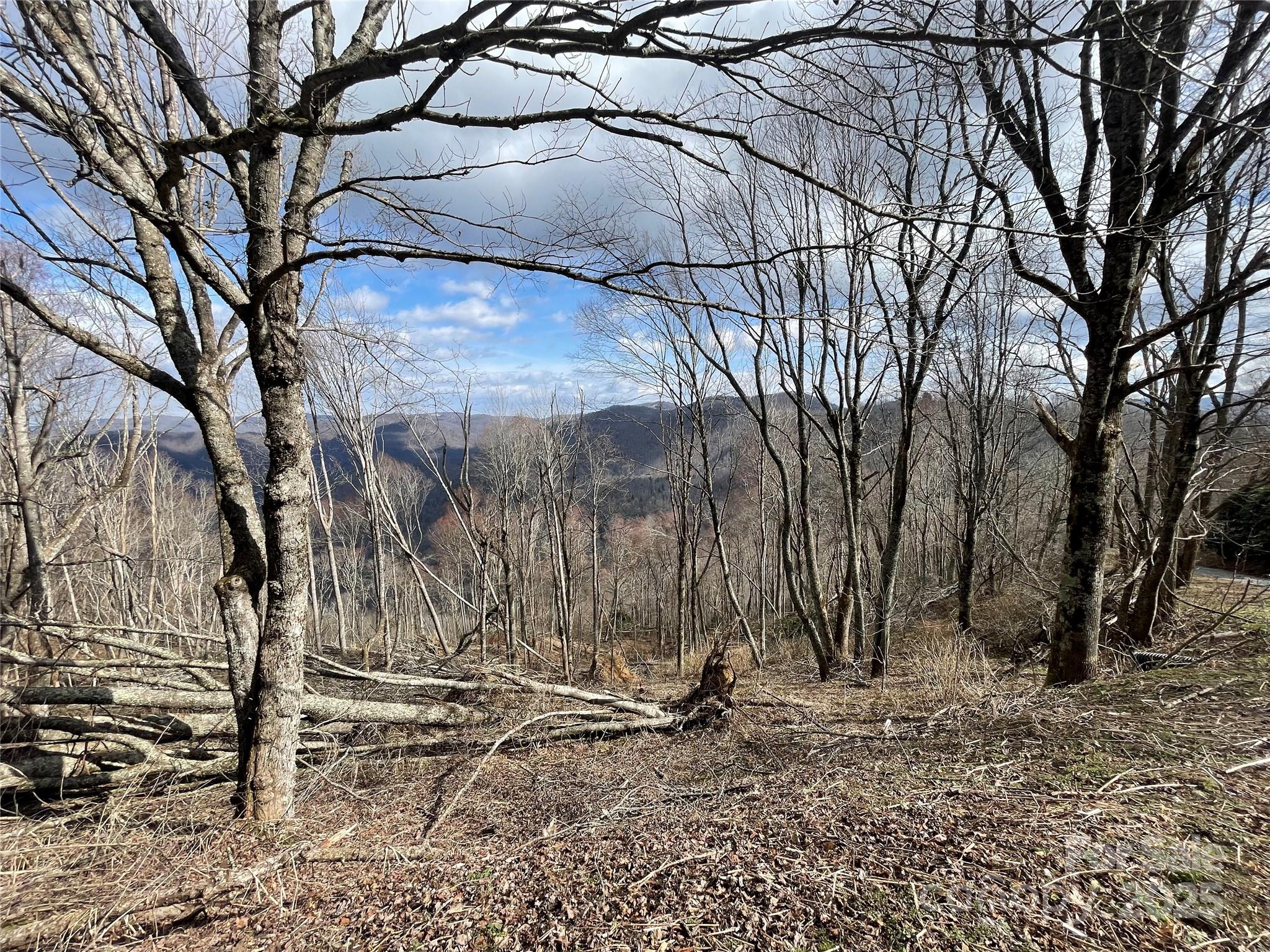 Lot #39 Ridge Top Circle Property Photo 1