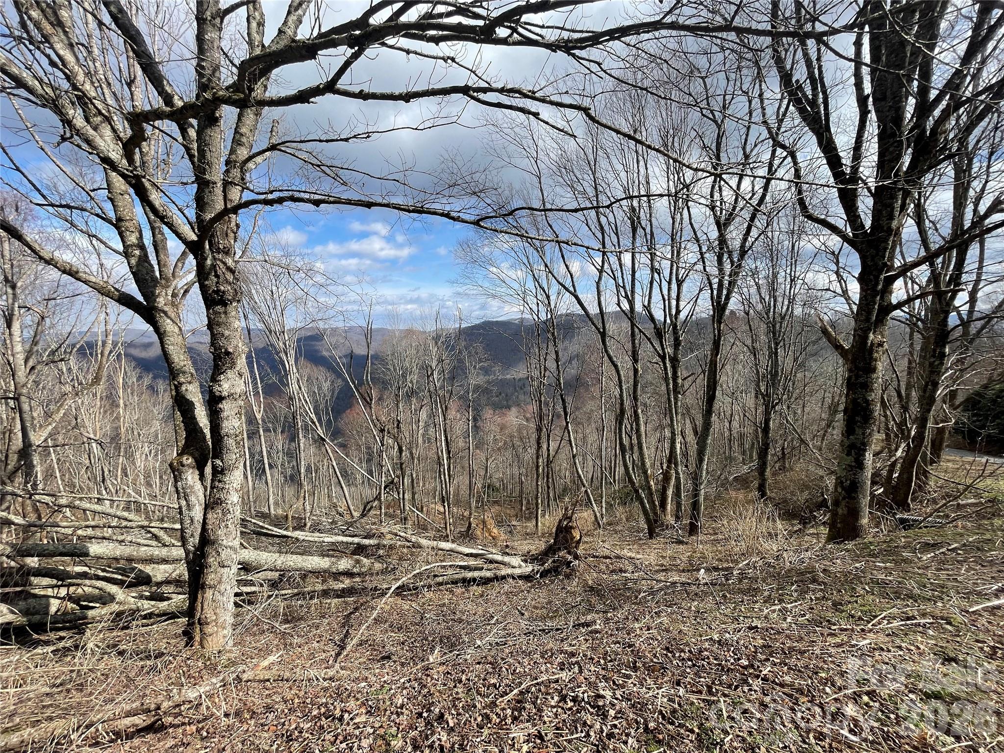 Lot #39 Ridge Top Circle Property Photo 2