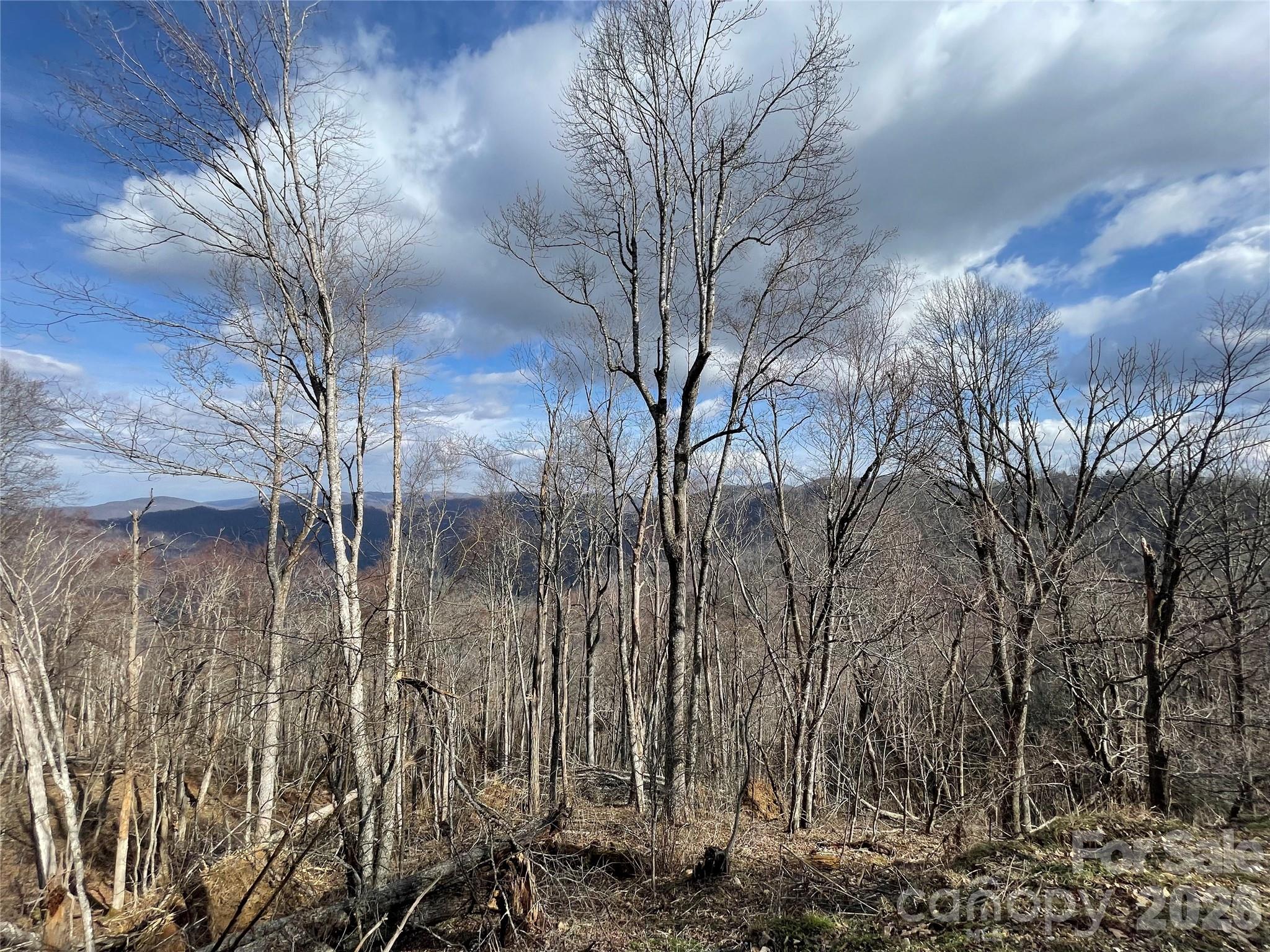 Lot #39 Ridge Top Circle Property Photo 3