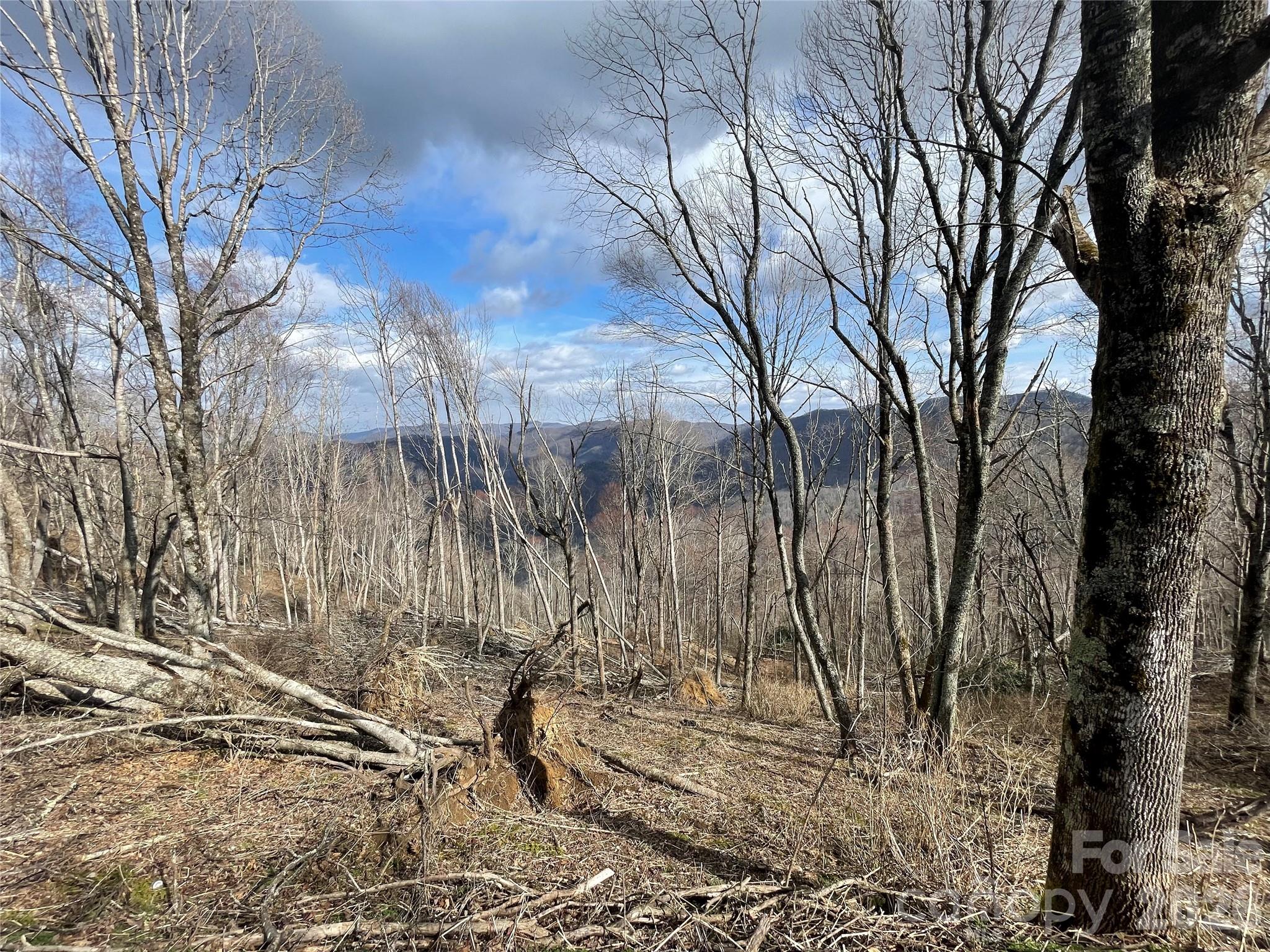 Lot #39 Ridge Top Circle Property Photo 4