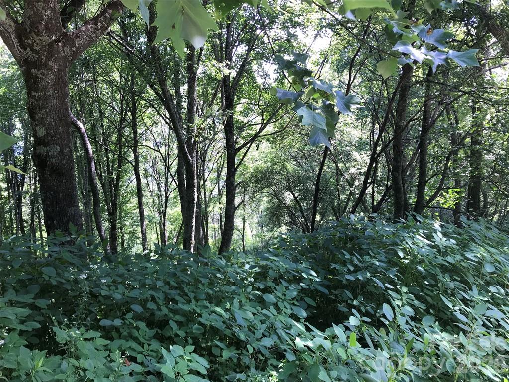 Lot #39 Ridge Top Circle Property Photo 5