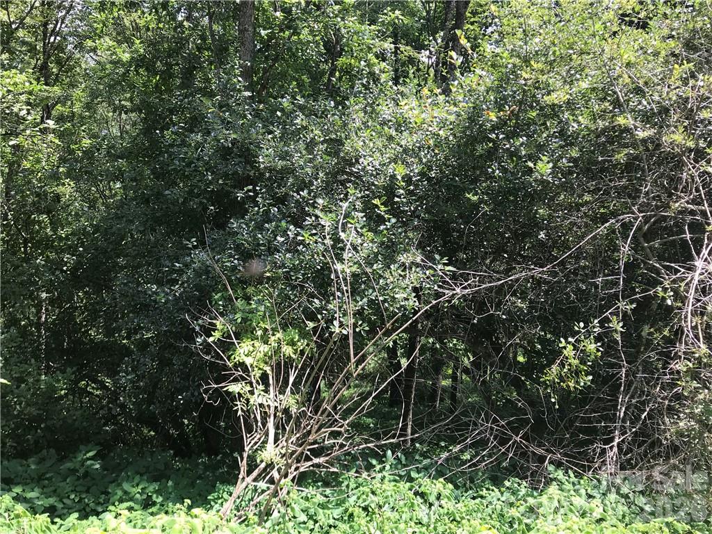 Lot #39 Ridge Top Circle Property Photo 7
