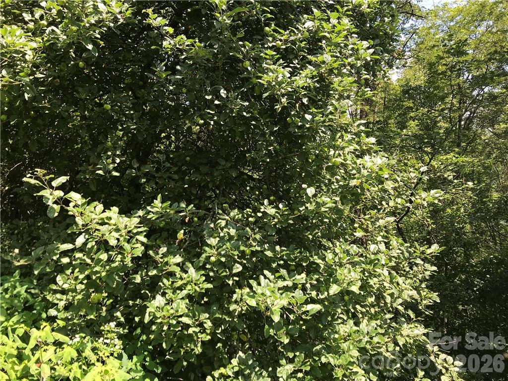 Lot #39 Ridge Top Circle Property Photo 8