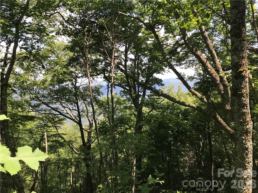 Lot #39 Ridge Top Circle Property Photo 9