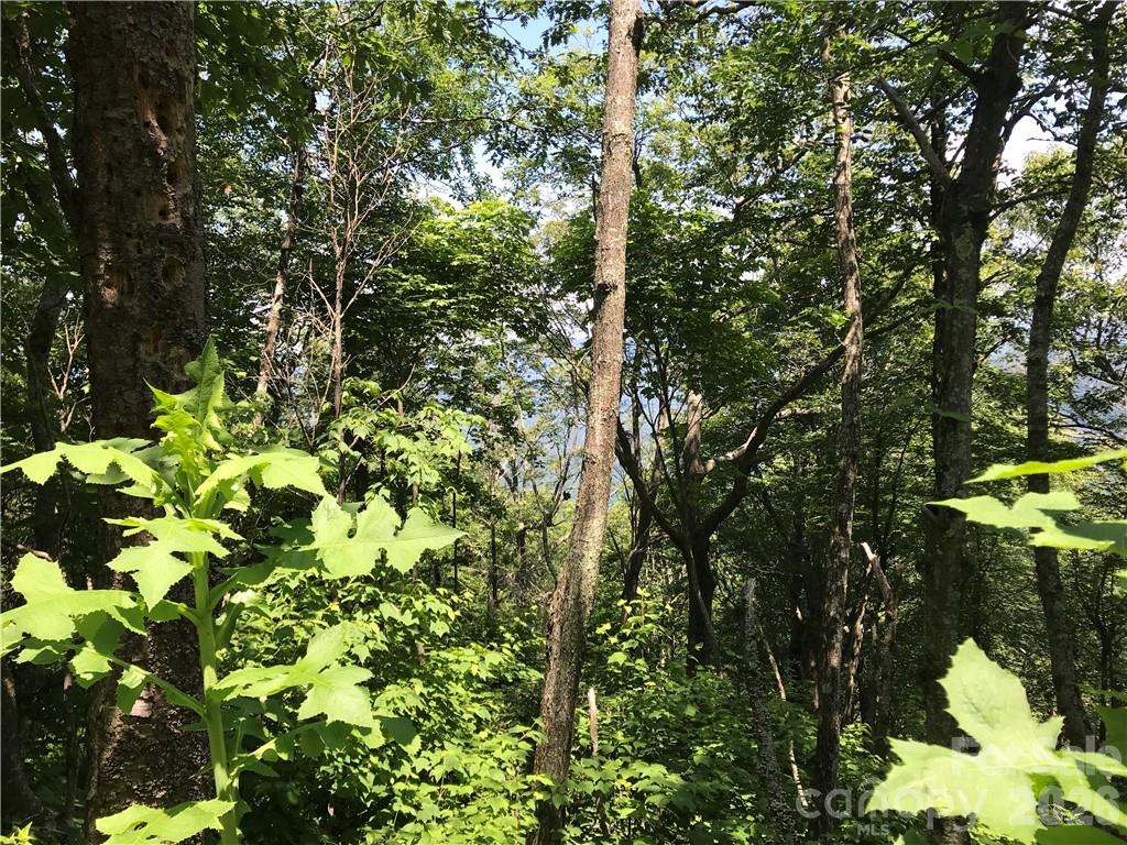 Lot #39 Ridge Top Circle Property Photo 10