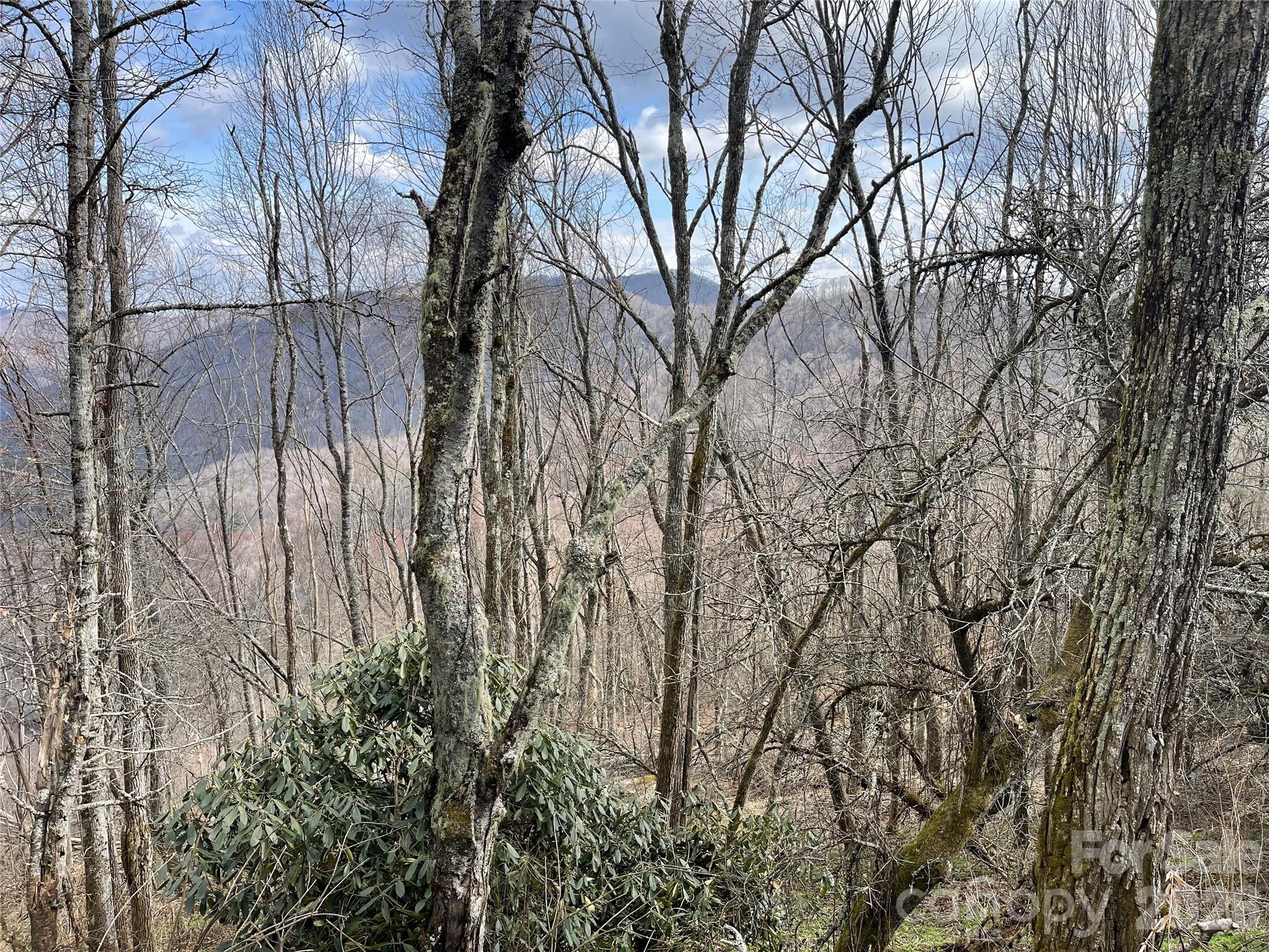 Lot #39 Ridge Top Circle Property Photo 23