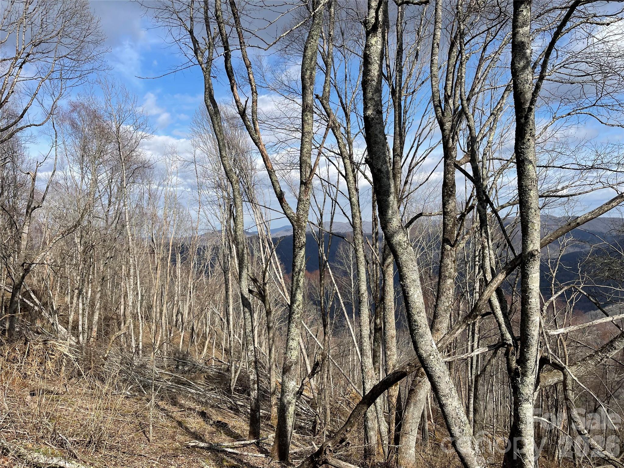 Lot #39 Ridge Top Circle Property Photo 25