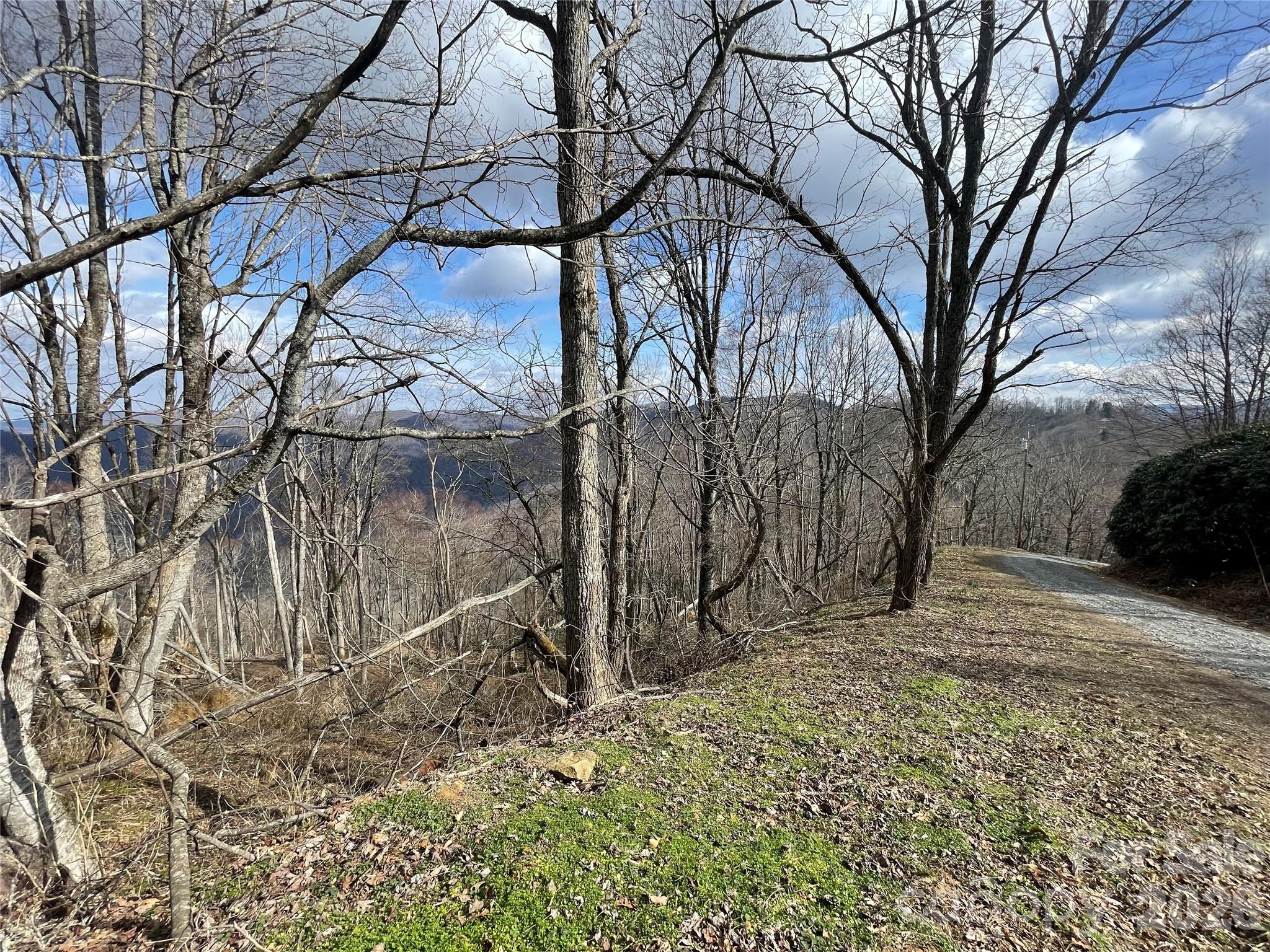 Lot #39 Ridge Top Circle Property Photo 26