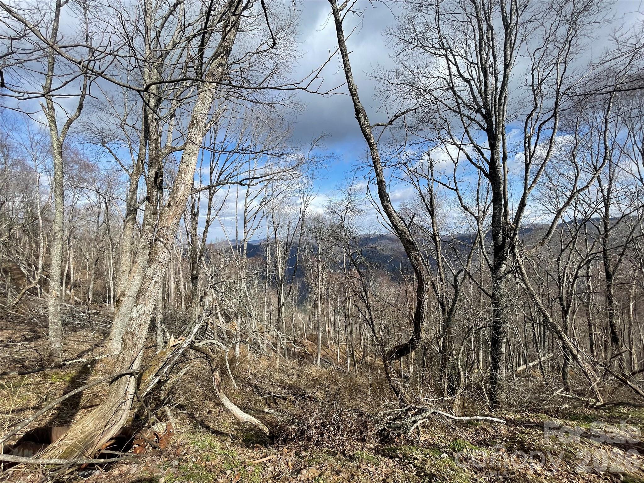 Lot #39 Ridge Top Circle Property Photo 27