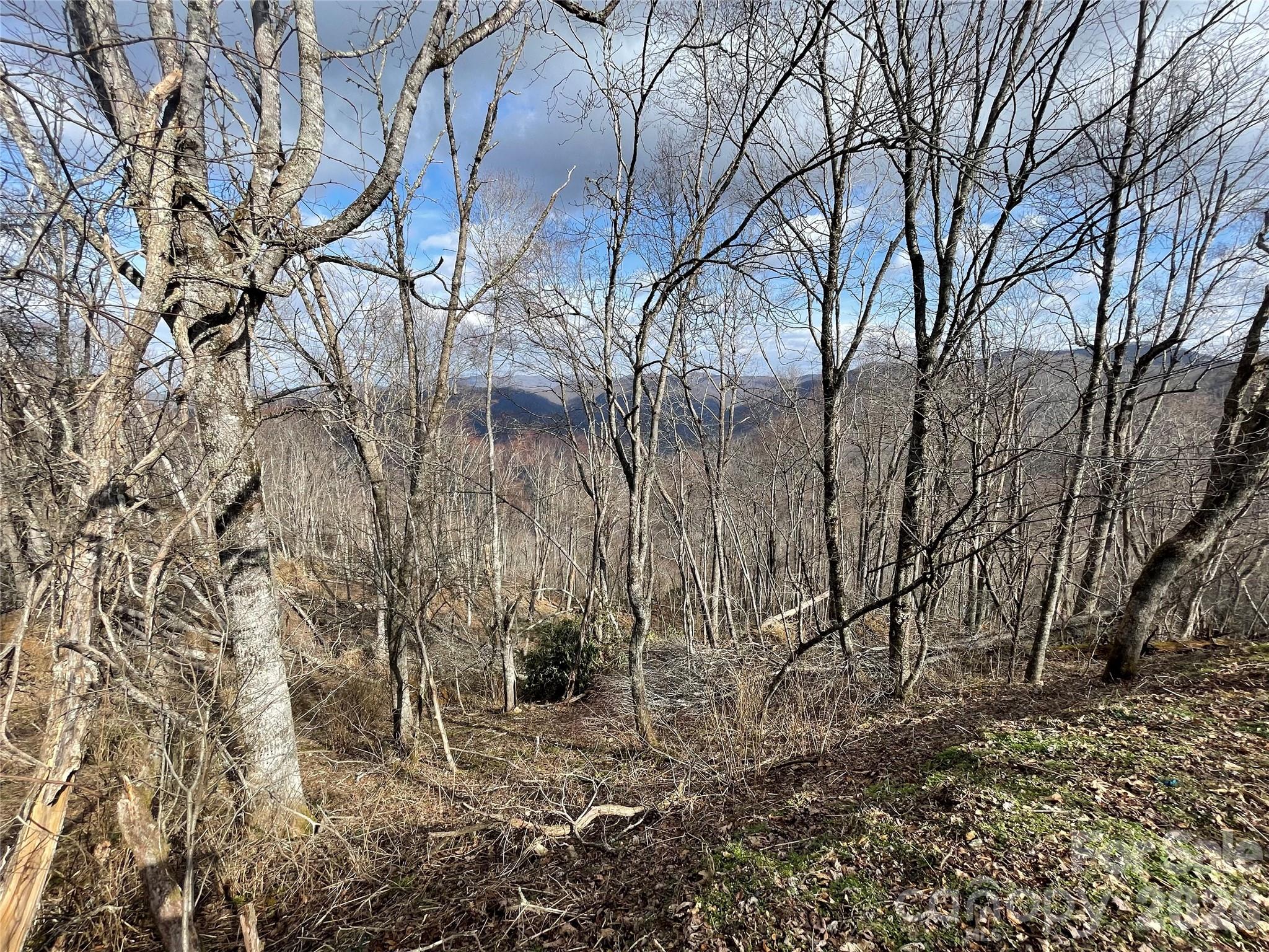 Lot #39 Ridge Top Circle Property Photo 28