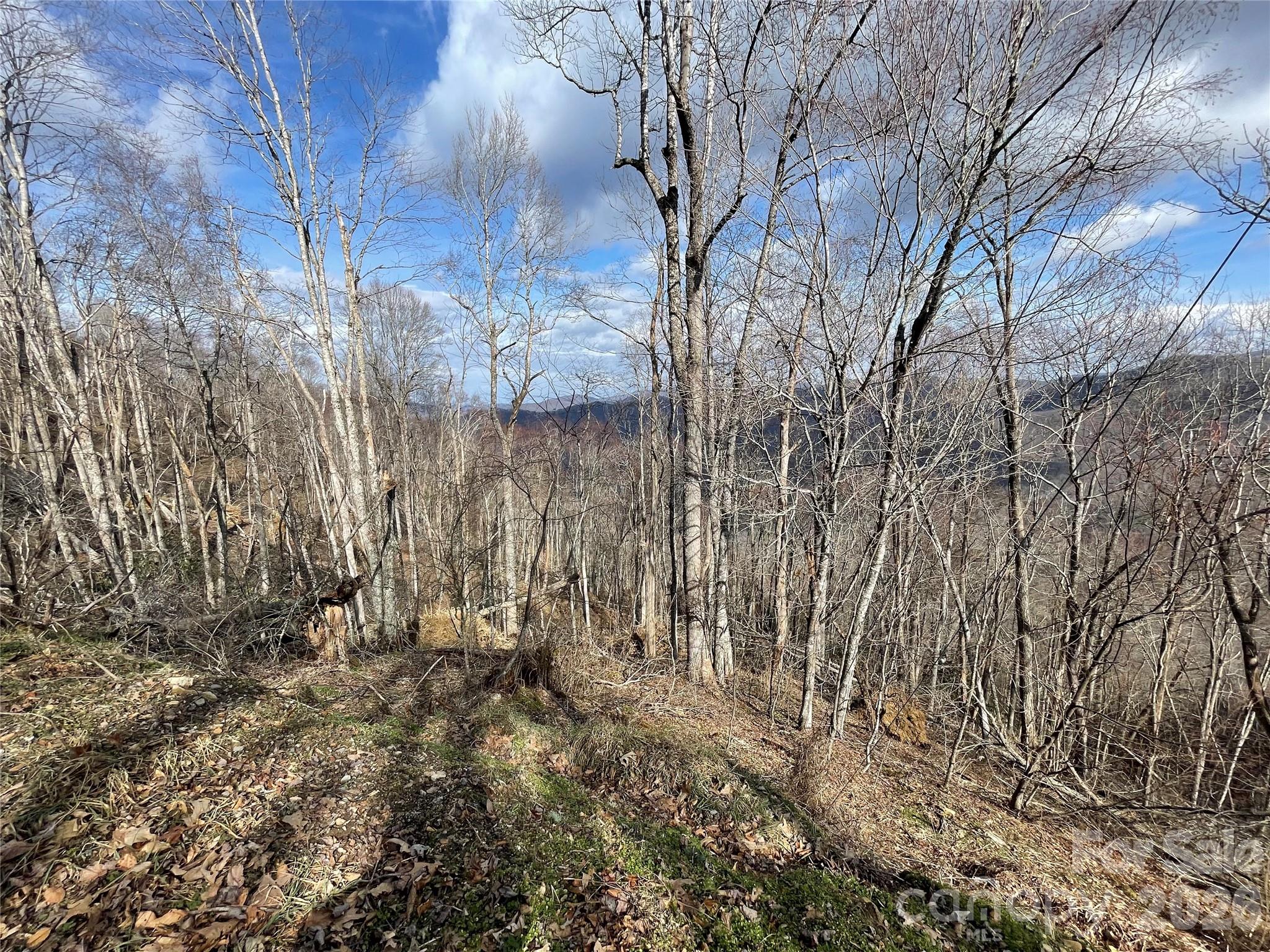 Lot #39 Ridge Top Circle Property Photo 29
