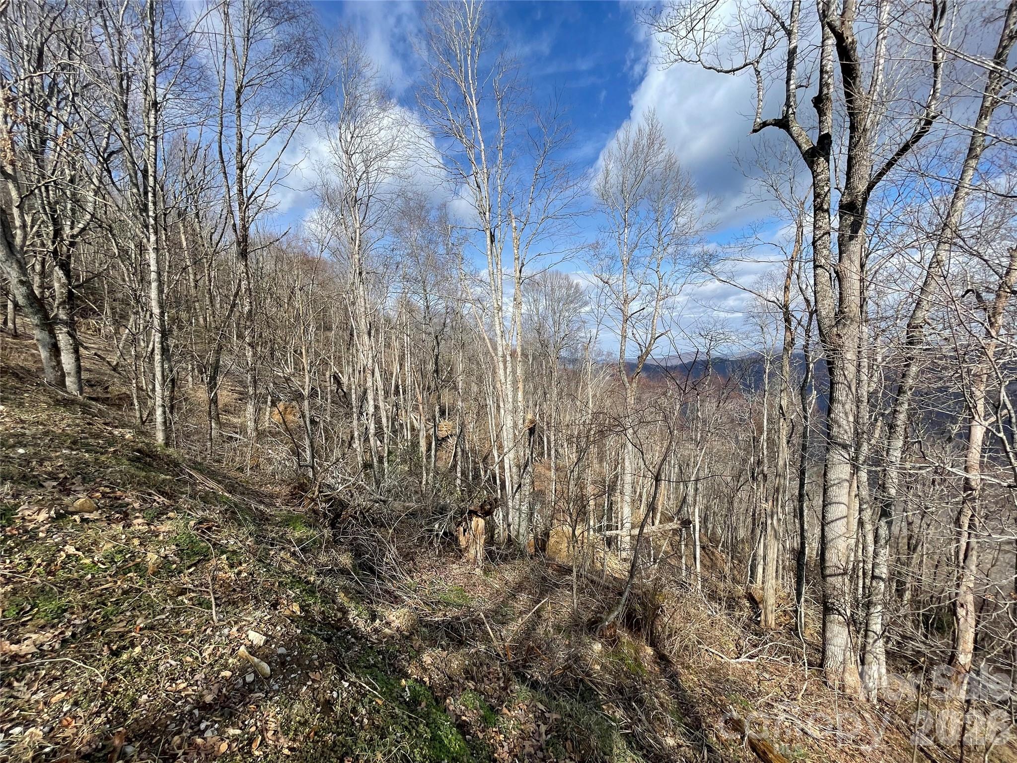 Lot #39 Ridge Top Circle Property Photo 30