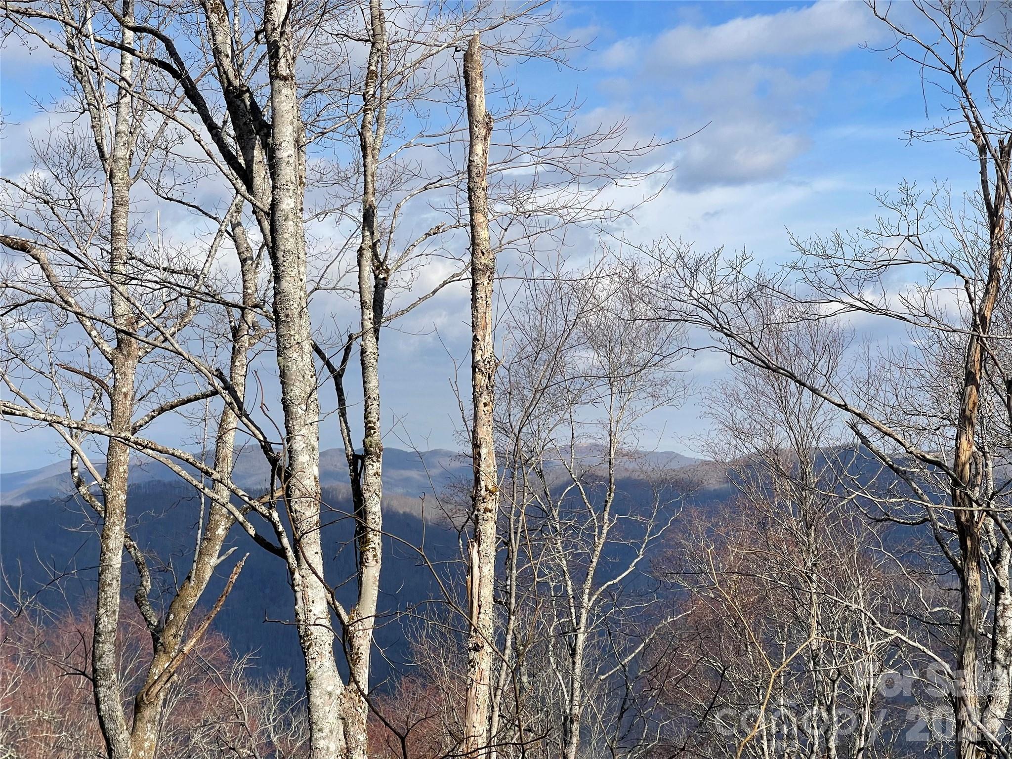 Lot #39 Ridge Top Circle Property Photo 31
