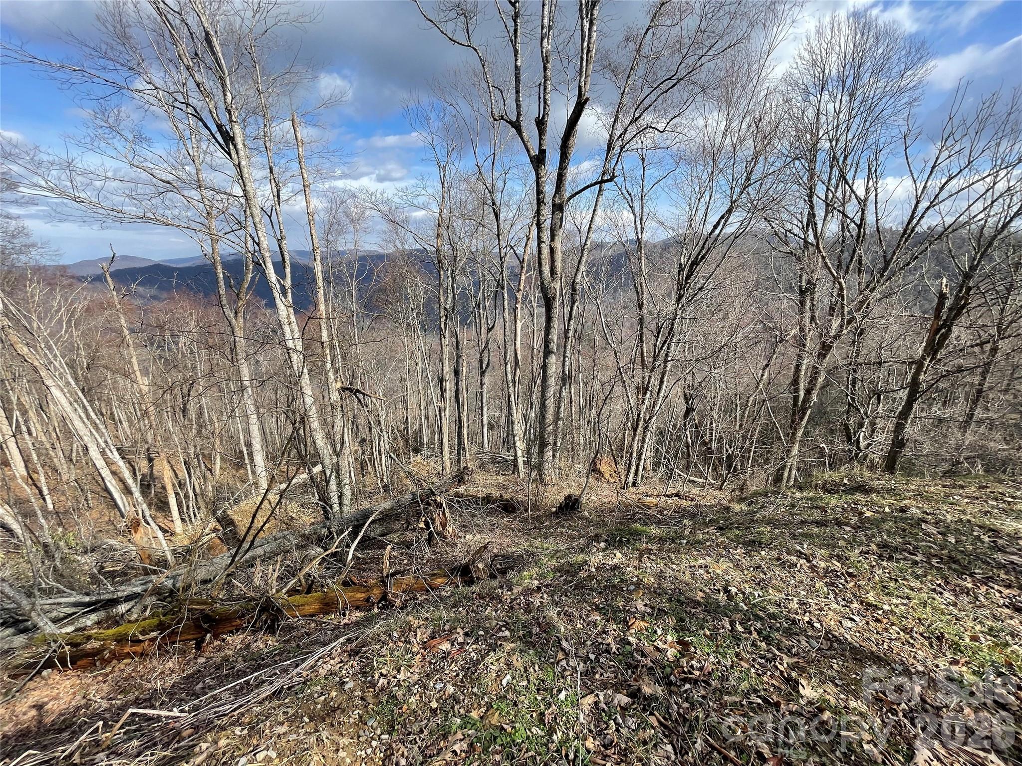 Lot #39 Ridge Top Circle Property Photo 32