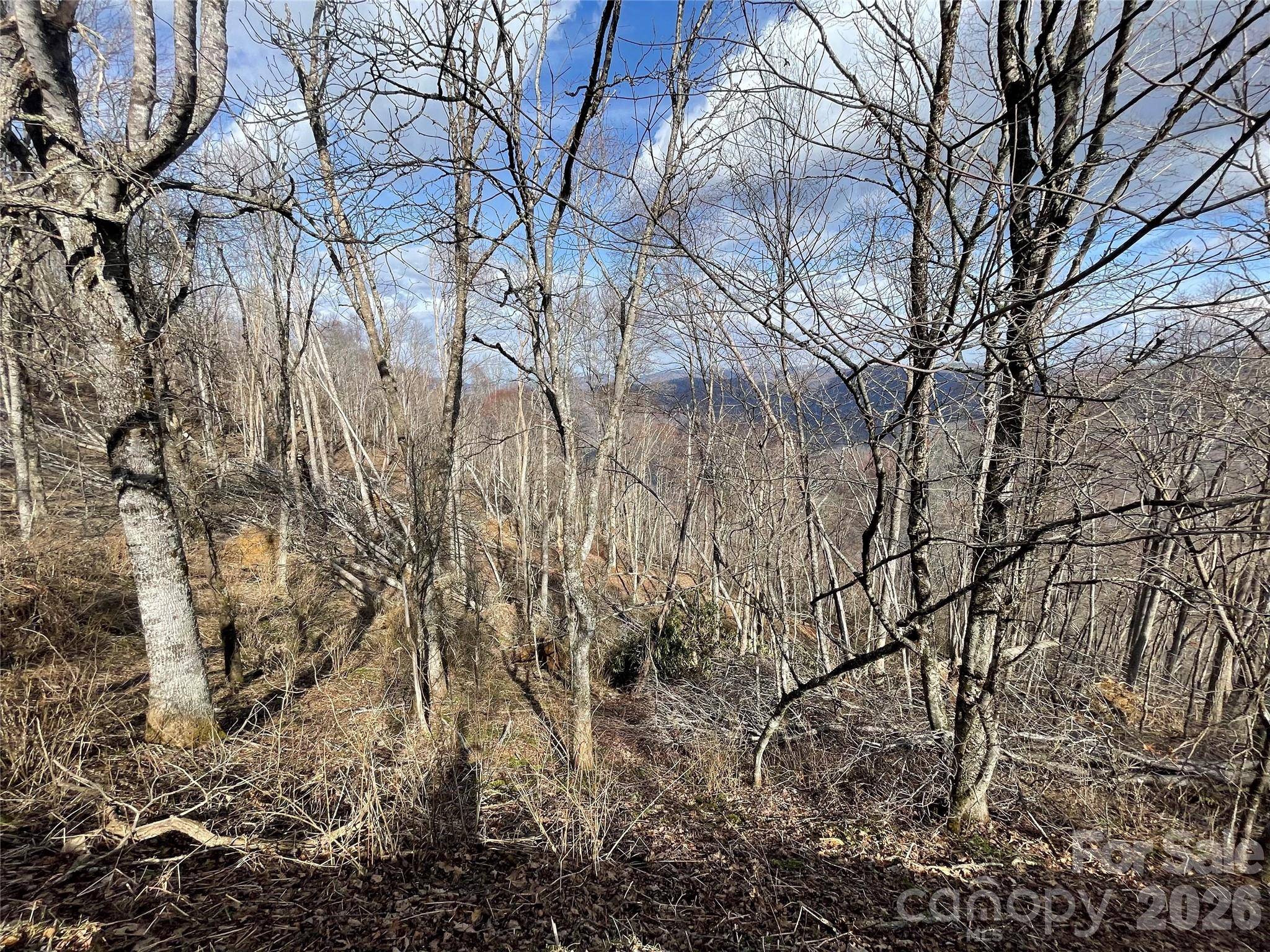 Lot #39 Ridge Top Circle Property Photo 33