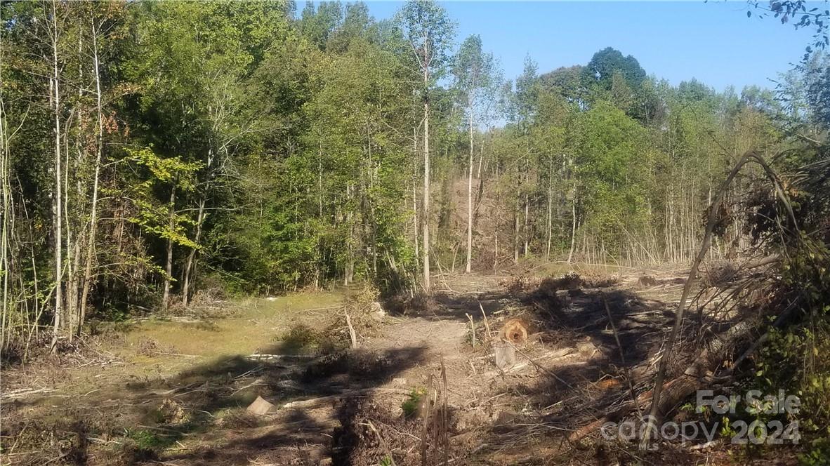0000 Kings Mountain Highway Property Photo 5