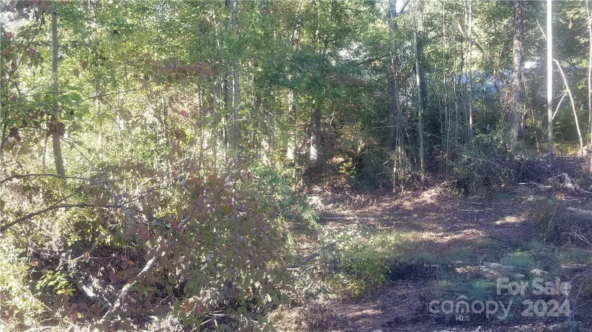 0000 Kings Mountain Highway Property Photo 6
