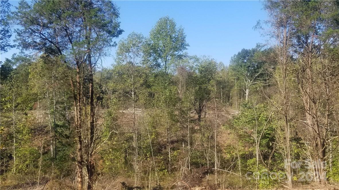 0000 Kings Mountain Highway Property Photo 7
