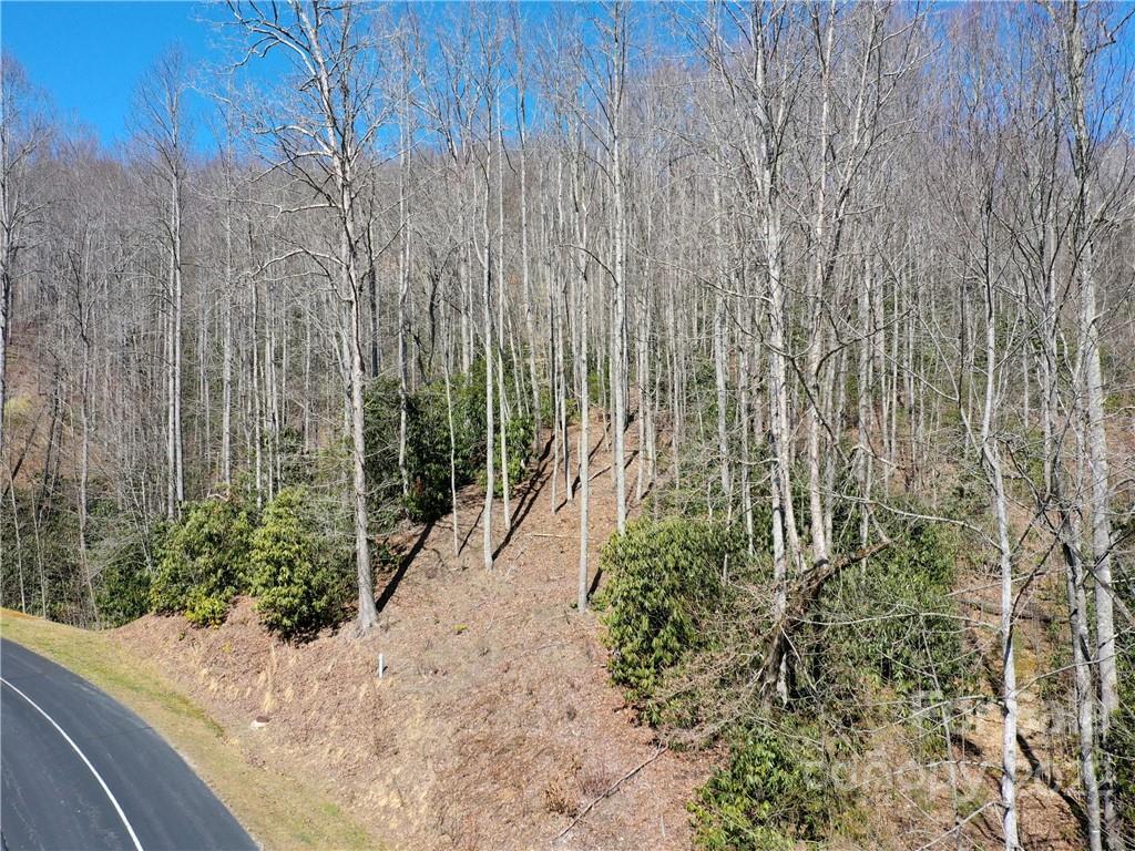 90 Mountain Crest Drive 30 Property Photo 12