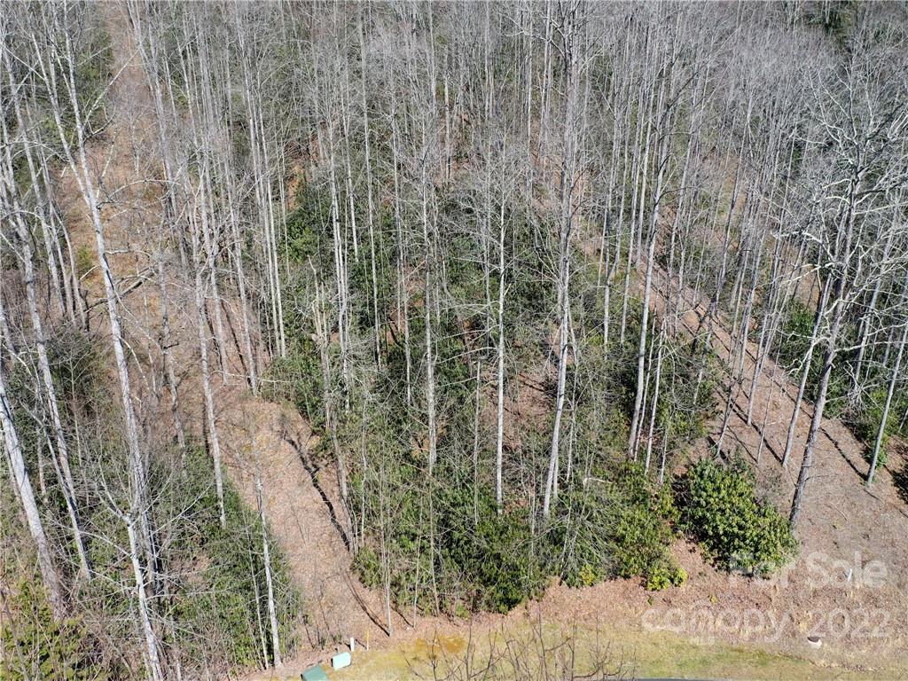 90 Mountain Crest Drive 30 Property Photo 18