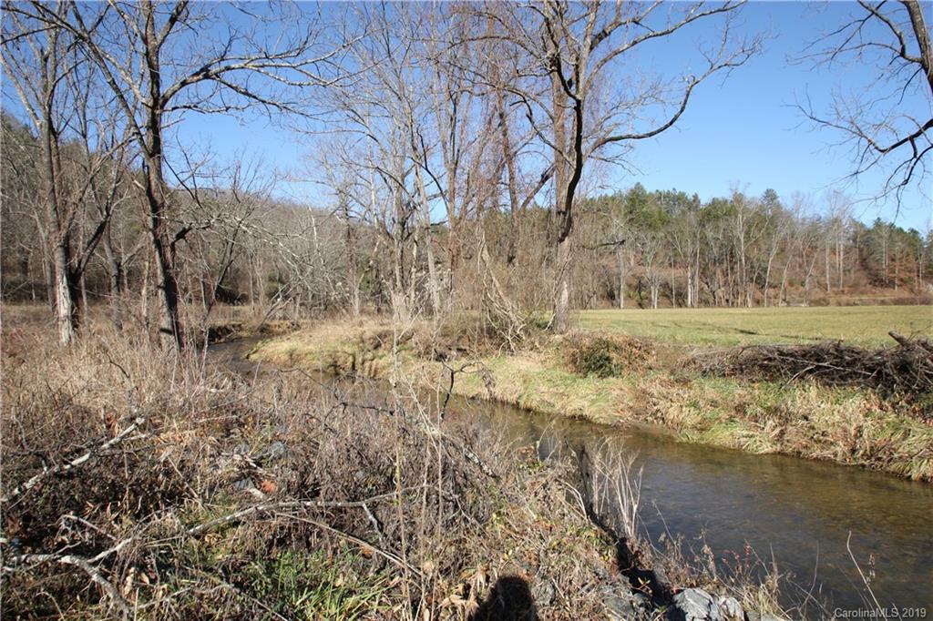 199 Sandy Mush Creek Road Property Photo 2