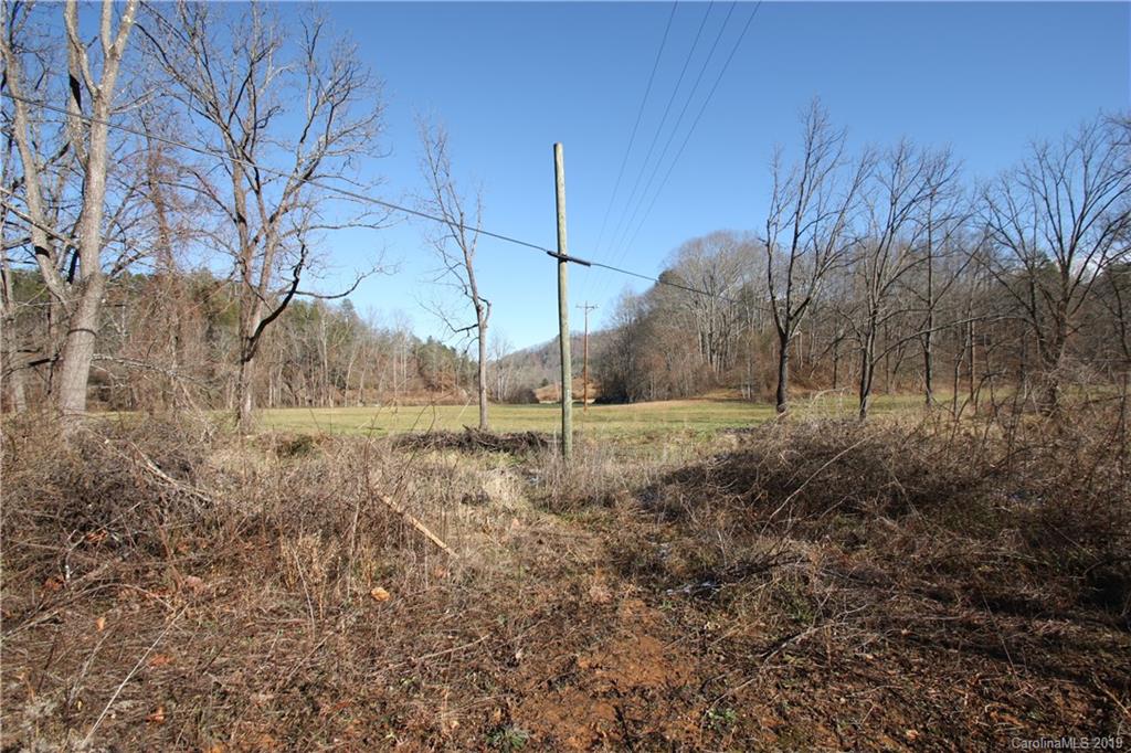 199 Sandy Mush Creek Road Property Photo 4