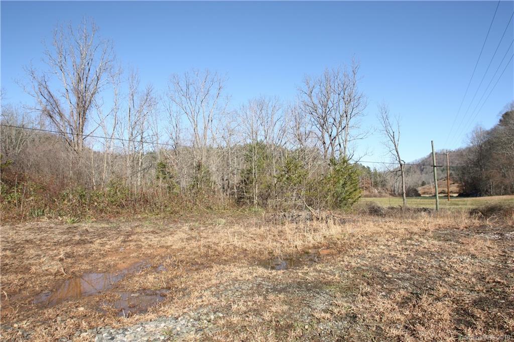 199 Sandy Mush Creek Road Property Photo 5