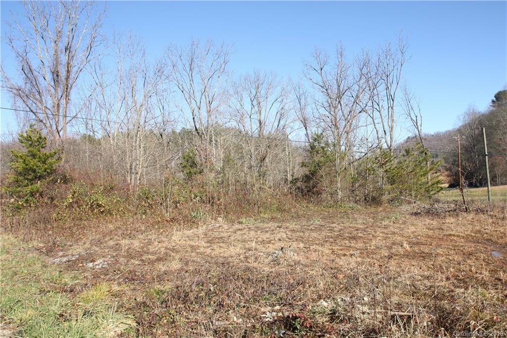 199 Sandy Mush Creek Road Property Photo 7