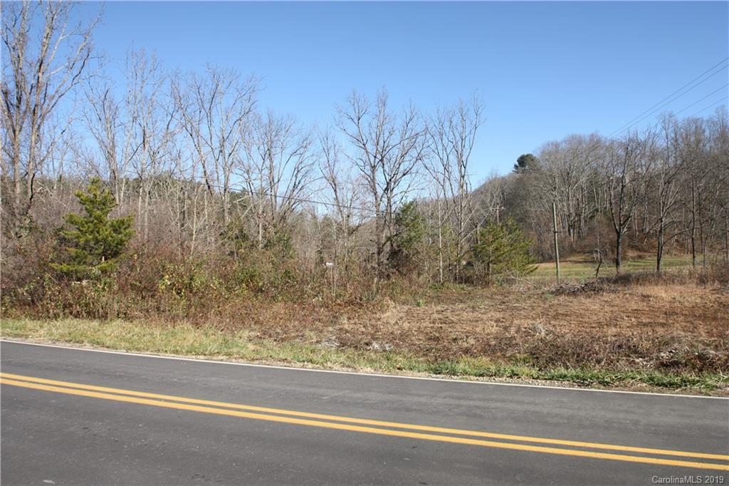 199 Sandy Mush Creek Road Property Photo 9