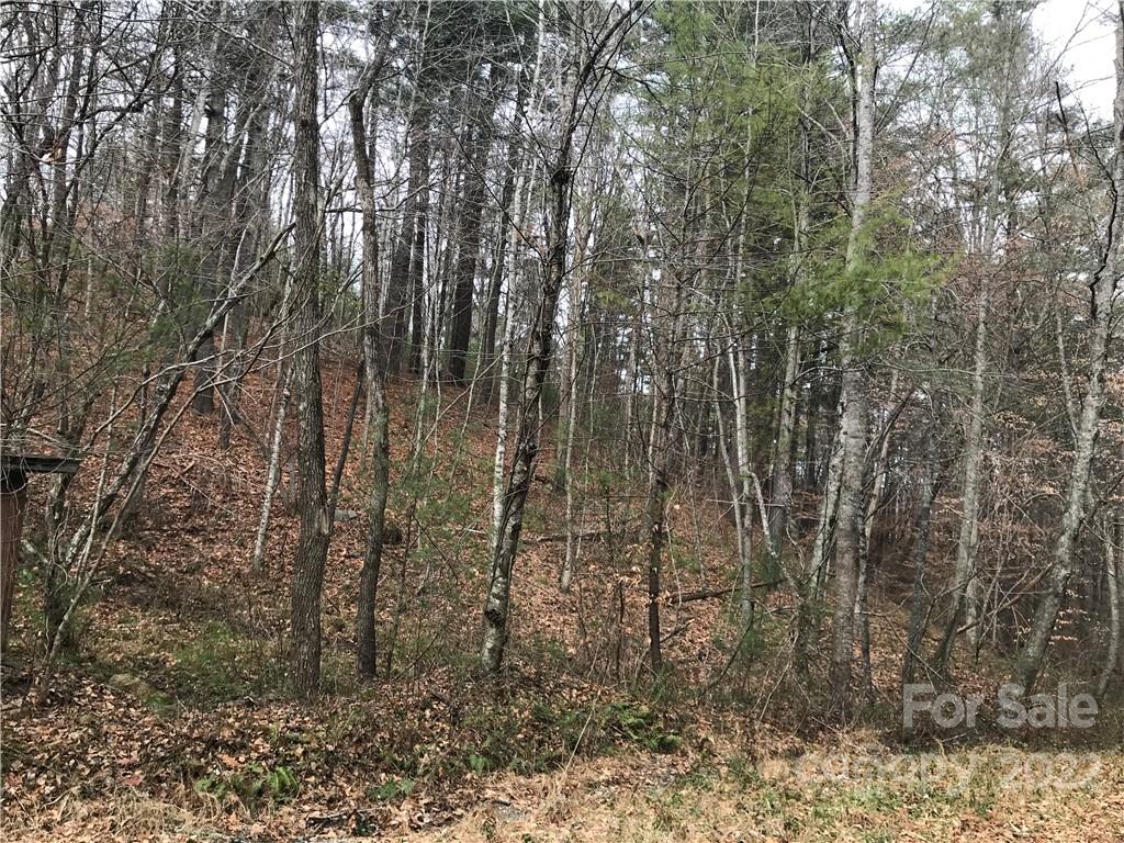 27 Eller Hollow Road Property Photo 2